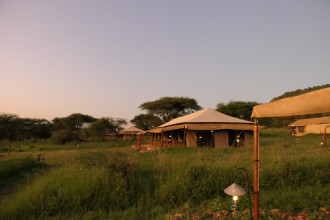 Serengeti Pure Tented Camps